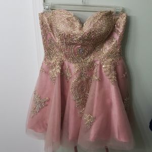 XL Semi Formal Dress